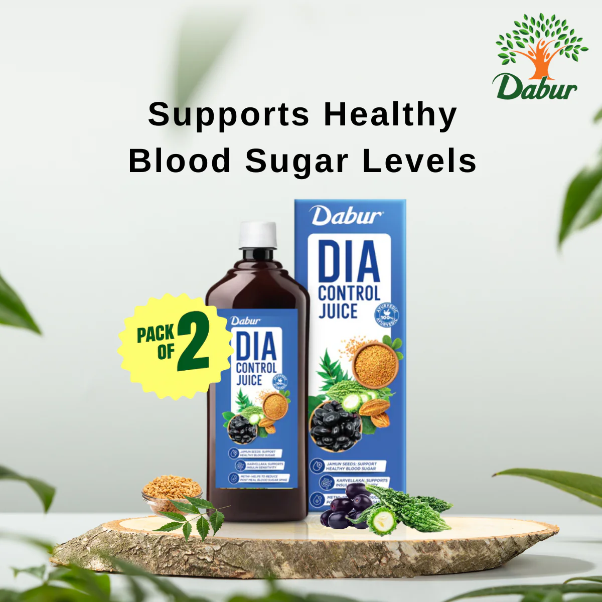 Dabur Dia Control Juice - Manage Blood Sugar Naturally - Image 3
